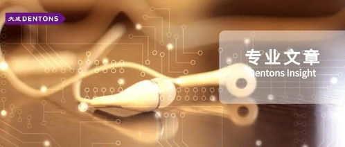 在线音频行业移动互联网应用程序的刑事合规分析研究——聚焦研发与维护环节